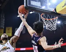 关于赛后斯图加特备战CBA常规赛，临场应变细节曝光，球迷炸锅，训练强度明显提升的信息